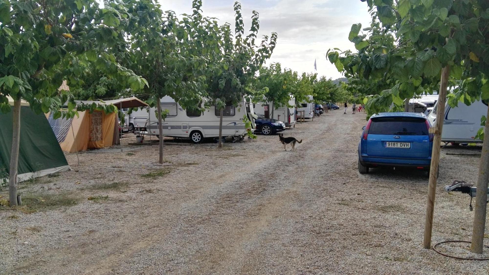 Camping El Roble Valderrobres Room photo